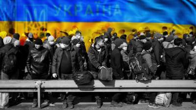 Украинцы массово покидают страну в поисках работы и лучшей жизни - newinform.com - Украина - Польша - Житомир
