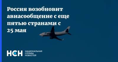 Россия возобновит авиасообщение с еще пятью странами с 25 мая - nsn.fm - Россия - Москва - Саудовская Аравия - Португалия - Мексика - Мальта - Лиссабон - Исландия - Рейкьявик - Джидда - с. 25 Мая - Валлетта