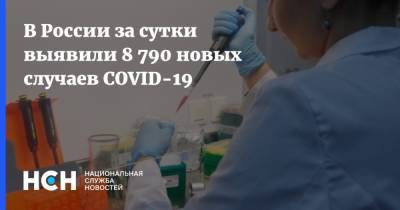 В России за сутки выявили 8 790 новых случаев COVID-19 - nsn.fm - Россия
