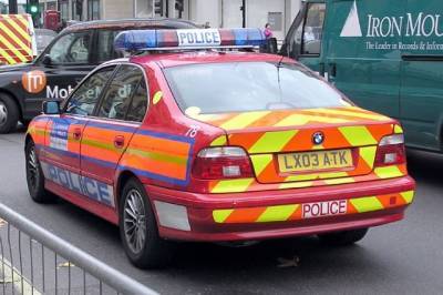 В Лондоне девять полицейских пострадали в ходе акции в поддержку Палестины - aif.ru - Англия - Лондон - Израиль - Палестина