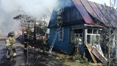 В Екатеринбурге горит СНТ «Луч», огонь уже уничтожил 13 садовых домов - newdaynews.ru - Екатеринбург