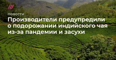 Производители предупредили о подорожании индийского чая из-за пандемии и засухи - tvrain.ru