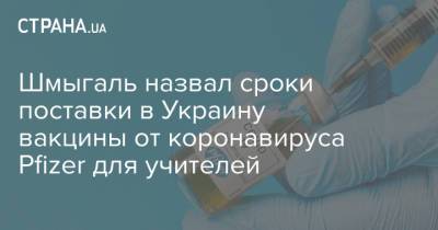 Денис Шмыгаль - Шмыгаль назвал сроки поставки в Украину вакцины от коронавируса Pfizer для учителей - strana.ua