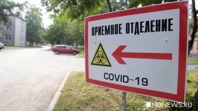 В Югре 43 человека с ковидом выявлены за минувшие сутки - newdaynews.ru - округ Югра