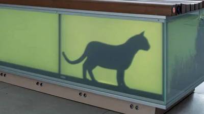 В «Музее света» поселилась виртуальная кошка - newdaynews.ru - Москва