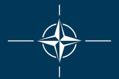 Эстонская армия начала военные учения с НАТО - versia.ru - Эстония