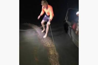 Мужчина прокатился на огромном крокодиле и разозлил зоозащитников - lenta.ru - Австралия