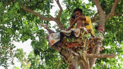 Фотофакт. Индийский студент 11 дней провел в «самоизоляции» на дереве - naviny.by