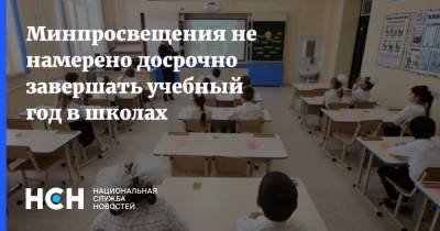 Денис Грибов - Минпросвещения не намерено досрочно завершать учебный год в школах - nsn.fm - Россия