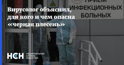 Георгий Викулов - Вирусолог объяснил, для кого и чем опасна «черная плесень» - nsn.fm - Россия