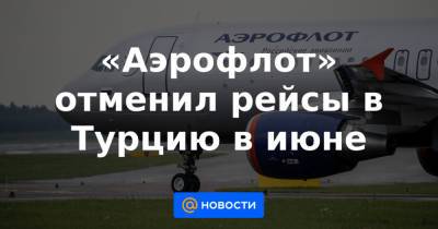 Михаил Демин - «Аэрофлот» отменил рейсы в Турцию в июне - news.mail.ru - Турция