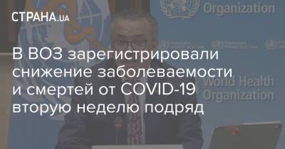 В ВОЗ зарегистрировали снижение заболеваемости и смертей от COVID-19 вторую неделю подряд - strana.ua