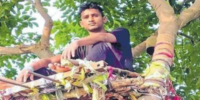 В Індії студент з COVID-19 просидів на дереві 11 днів, щоб не заразити рідних - bykvu.com