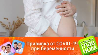 Александр Мясников - О самом главном. Мясников пояснил, можно ли беременным делать прививку от коронавируса - vesti.ru - Россия