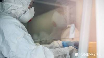 В России обнаружили еще более 8 тысяч инфицированных коронавирусом - newdaynews.ru - Россия - республика Алтай - округ Ненецкий - республика Тыва