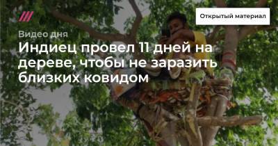 Индиец провел 11 дней на дереве, чтобы не заразить близких ковидом - tvrain.ru