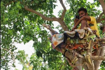 Индия - Заболевший вирусом парень провел 11 дней на дереве: "В больнице не было коек" - politeka.net - India - штат Телангана