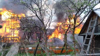 После пожара в коллективном саду найдено тело - newdaynews.ru - Свердловская обл.