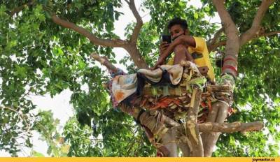 Заболевший коронавирусом индиец провёл 11 дней в «гнезде» на дереве, чтобы не заразить родных - rusjev.net