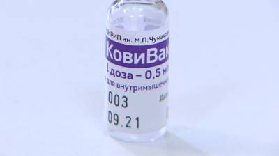 Воронежская область получила третью вакцину от коронавируса - vestivrn.ru - Воронежская обл.