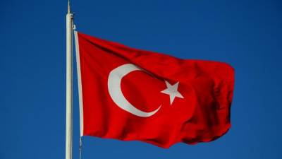 Bloomberg: авиасообщение между РФ и Турцией возобновится не раньше середины июня - piter.tv - Россия - Турция