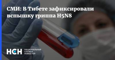 СМИ: В Тибете зафиксировали вспышку гриппа H5N8 - nsn.fm - Россия - Китай