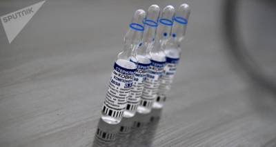 В Египет начались поставки российской вакцины "Спутник V" - ru.armeniasputnik.am - Египет - Армения
