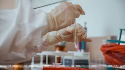 За сутки в мире выявили более чем 546 тысяч случаев заражения коронавирусом - belta.by - Минск