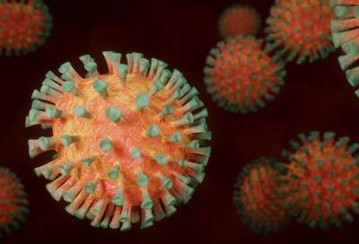 Мехман Мамедов - Медики перечислили пять основных последствий коронавируса - online47.ru