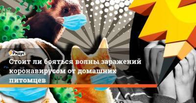 Александр Гинцбург - Стоит ли бояться волны заражений коронавирусом от домашних питомцев - skuke.net - Россия