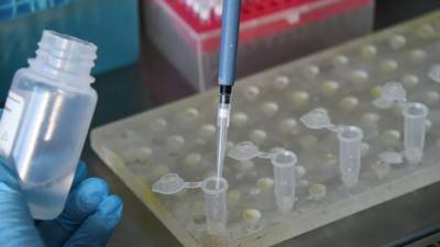За сутки в Румынии выявили более 1000 случаев коронавируса - russian.rt.com - Румыния
