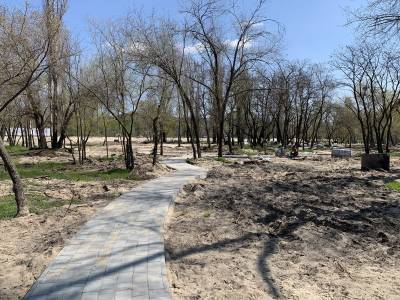 В Запорожье хотят построить частный парк для отдыха на Набережной - inform.zp.ua - Запорожье