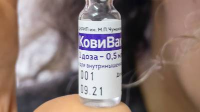 Айдар Ишмухаметов - Центр Чумакова планирует до конца года выпустить минимум 7,5 млн доз вакцины «КовиВак» - mir24.tv - Россия