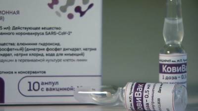 Айдар Ишмухаметов - Вакцина "КовиВак" обеспечит защитой от коронавируса на восемь месяцев - inforeactor.ru - Россия