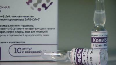 Россиянам рассказали, сколько действует на иммунитет вакцина "КовиВак" - polit.info - Россия