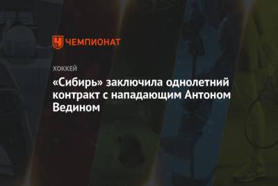 «Сибирь» заключила однолетний контракт с нападающим Антоном Ведином - championat.com