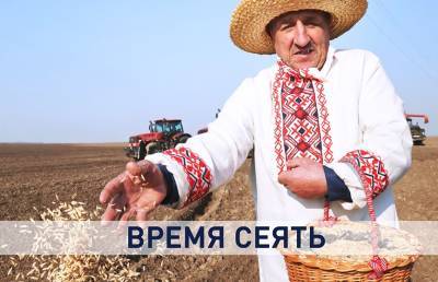 В Беларуси идут весенне-полевые работы. Зачем нужен контроль в сфере АПК и продовольственной безопасности? - ont.by - Президент