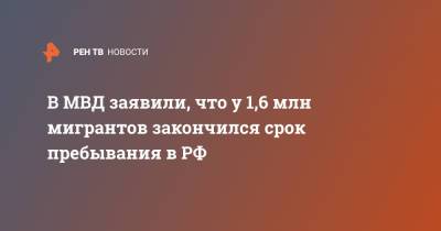В МВД заявили, что у 1,6 млн мигрантов закончился срок пребывания в РФ - ren.tv - Россия