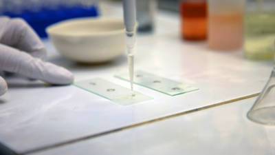 Ученые из Австралии и США создали эффективное лекарство от коронавируса - mir24.tv - Австралия