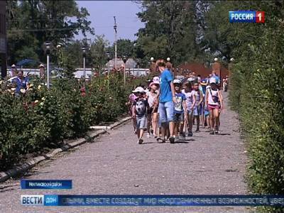 26 летних детских лагерей примут школьников в этом году в ростовской области - dontr.ru - Ростовская обл.