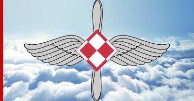 Причину подачи сигнала о захвате самолета ВВС Польши объяснило командование - profile.ru - Польша - Чехия