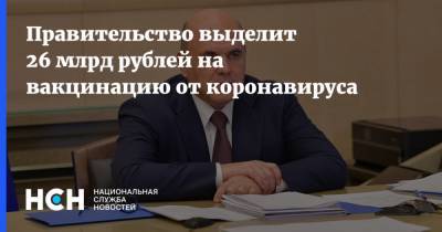 Михаил Мишустин - Правительство выделит 26 млрд рублей на вакцинацию от коронавируса - nsn.fm - Россия
