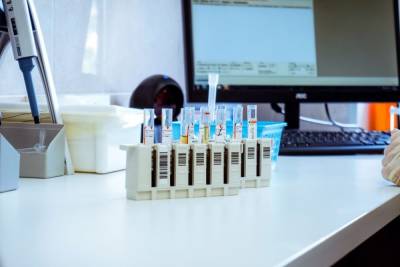 Петербургские ученые начали исследование клеточного иммунитета при коронавирусе - abnews.ru