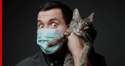 Александр Горелов - Можно ли заразиться коронавирусом от кошки, рассказал эпидемиолог - profile.ru - Россия