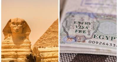 Египет возобновил плату за въездные туристические визы - focus.ua - Египет