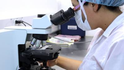 Анастасия Власова - Потенциально опасный новый коронавирус нашли ученые из США - newinform.com - Сша - Малайзия - штат Огайо