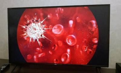 В США заявили об искусственном происхождении коронавируса - ufacitynews.ru - Китай