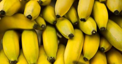 Партию бананов с кокаином на миллионы долларов пытались отправить в РФ - ren.tv - Россия - Эквадор - Бельгия