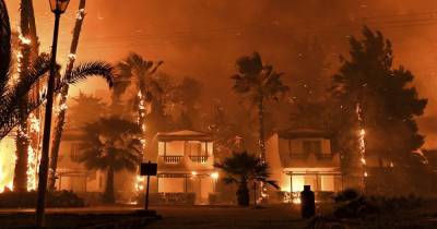 Выжженные дотла дома и немедленная эвакуация: Грецию охватили масштабные лесные пожары (6 фото) - tsn.ua - Греция