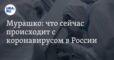 Михаил Мурашко - Мурашко: что сейчас происходит с коронавирусом в России - ura.news - Россия